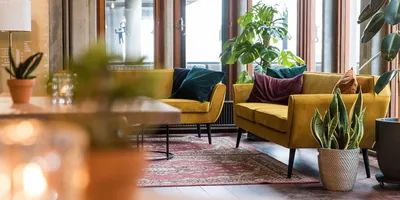 Voor het raam staan twee gele banken met kussentjes in het Lindenberg Cafe