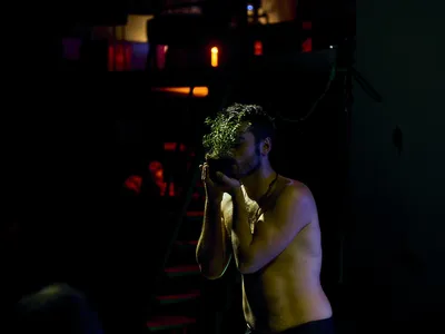 A shirtless man is holding a plant tenderly against his head.