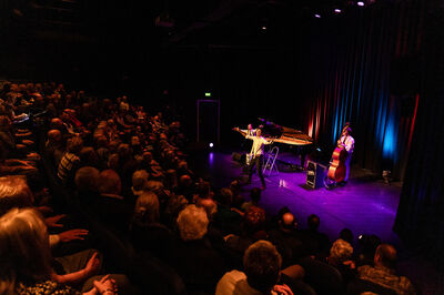 Een zanger treedt op in een volle theaterzaal, begeleid door een pianist en contrabassist, met kleurrijke verlichting op het podium.