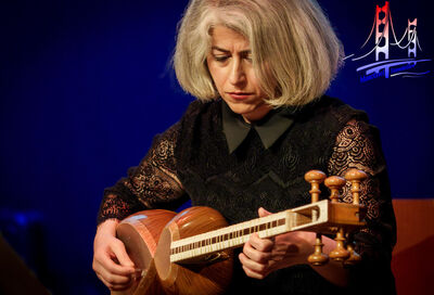 Vrouw speelt geconcentreerd op een traditioneel snaarinstrument.