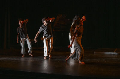 Groep dansers beweegt synchroon over het podium in warme spotlights.