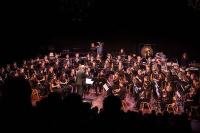 Het studentenorkest is geconcentreerd aan het spelen